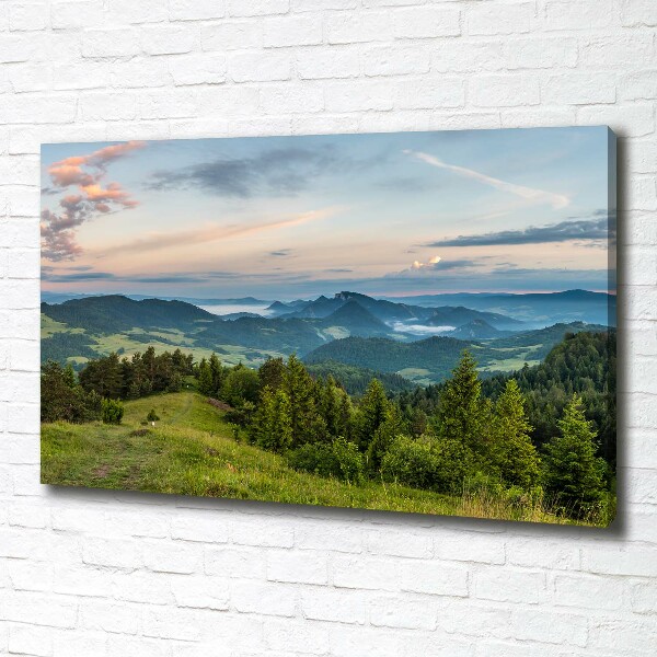 Foto obraz na płótnie Panorama Pieniny