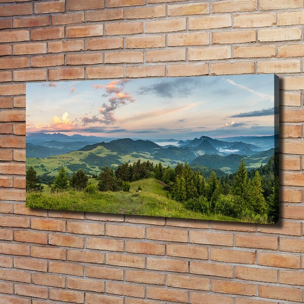 Foto obraz na płótnie Panorama Pieniny