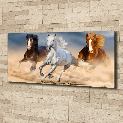 Foto obraz na płótnie Konie na pustyni