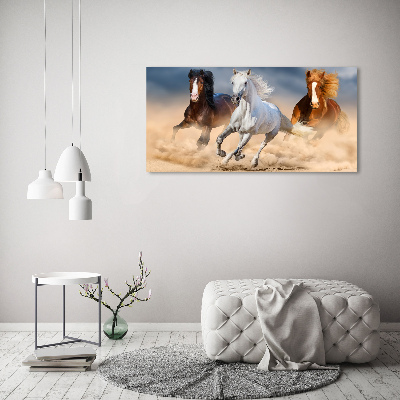 Foto obraz na płótnie Konie na pustyni