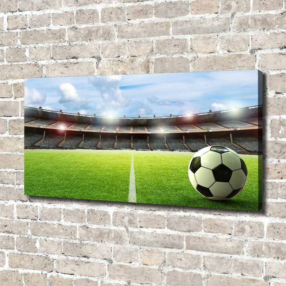 Foto obraz na płótnie Piłka na murawie