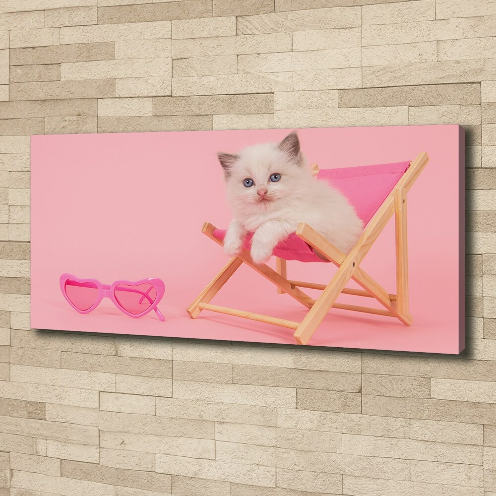 Foto obraz na płótnie Kot na leżaku
