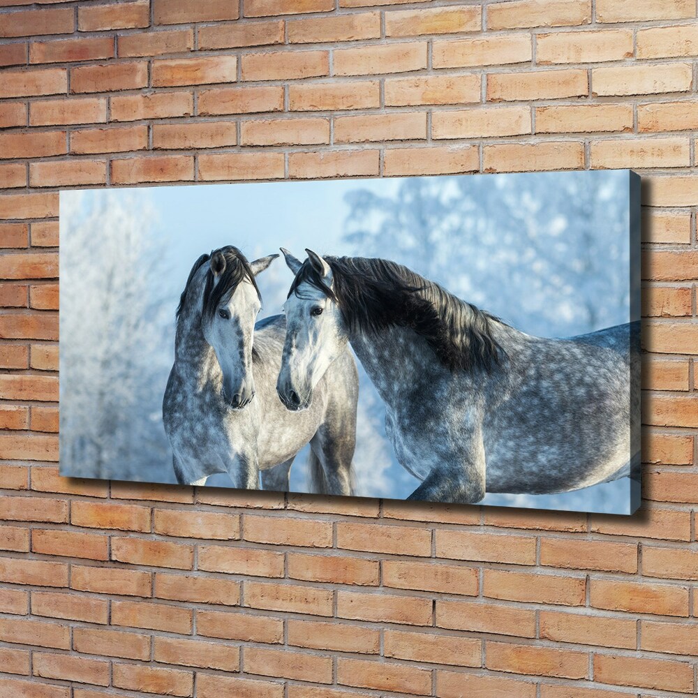 Foto obraz na płótnie Szare konie zimą