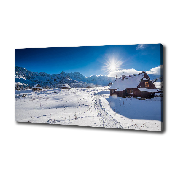 Foto obraz canvas Hale Tatry