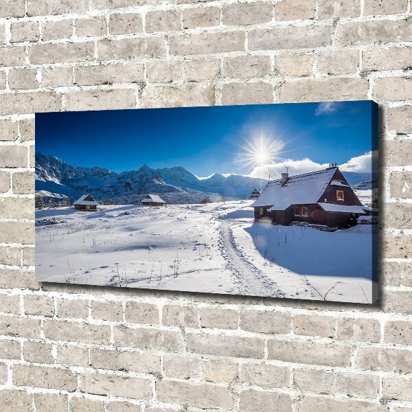 Foto obraz canvas Hale Tatry