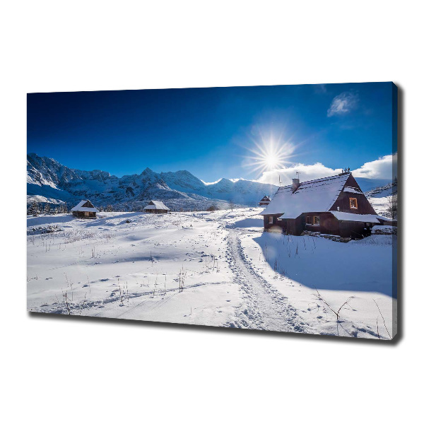 Foto obraz canvas Hale Tatry