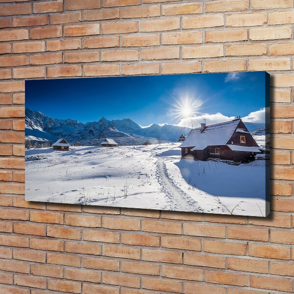 Foto obraz canvas Hale Tatry