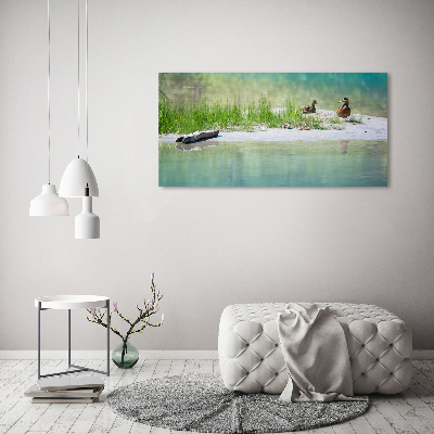Foto obraz na płótnie Kaczki nad wodą