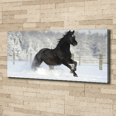 Foto obraz na płótnie Koń w galopie śnieg