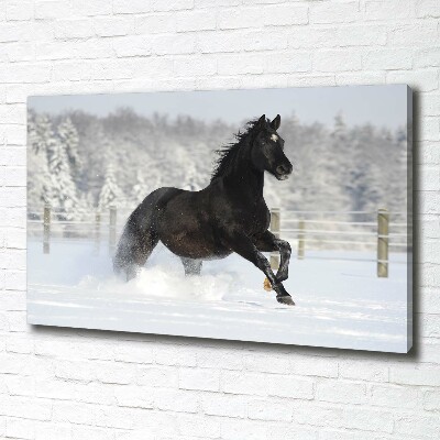 Foto obraz na płótnie Koń w galopie śnieg