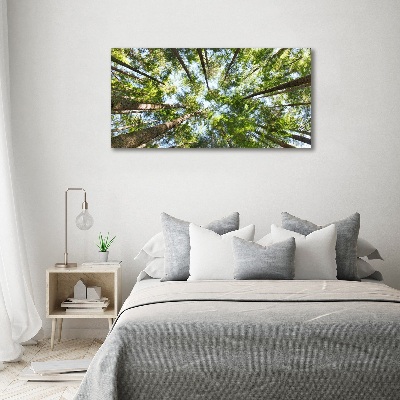 Duży Foto obraz na płótnie Korona drzew