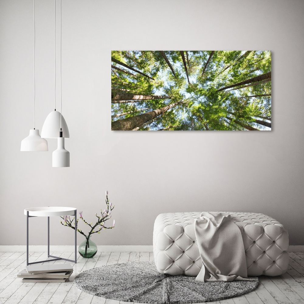 Duży Foto obraz na płótnie Korona drzew