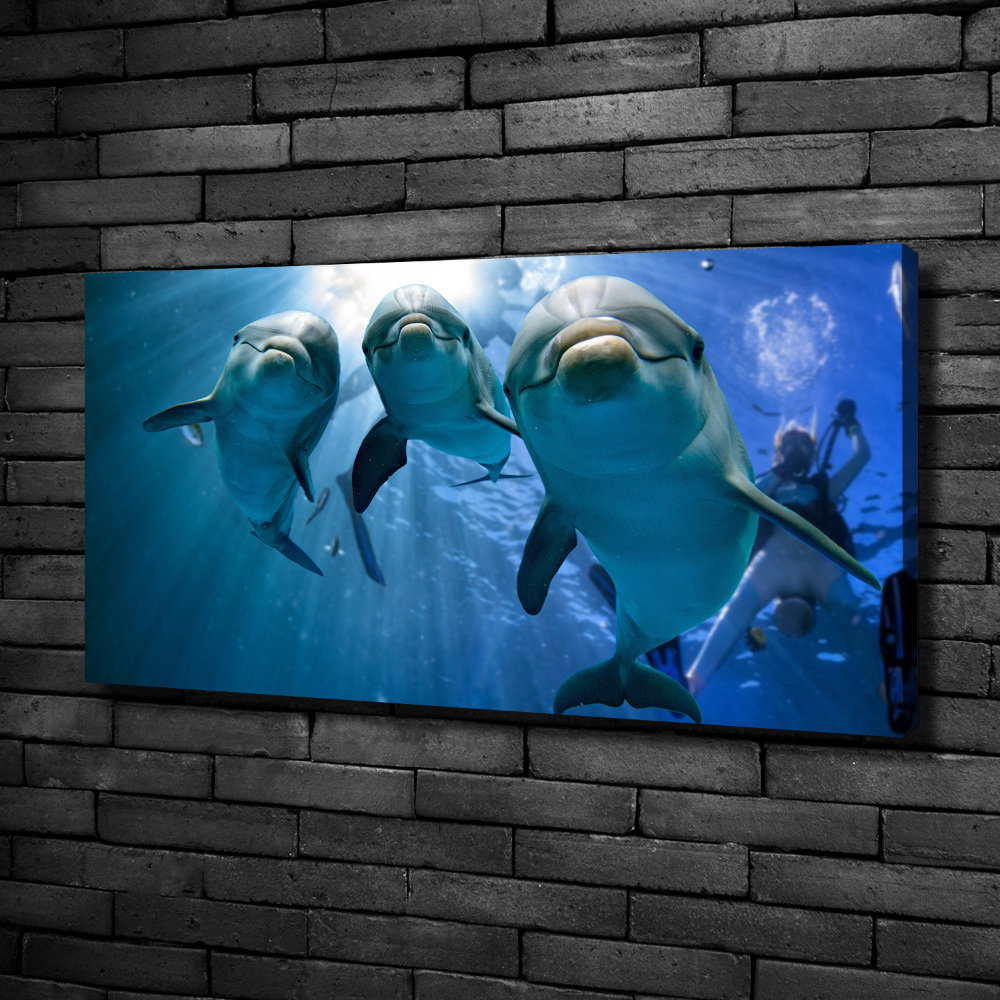 Duży Foto obraz na płótnie Trzy delfiny