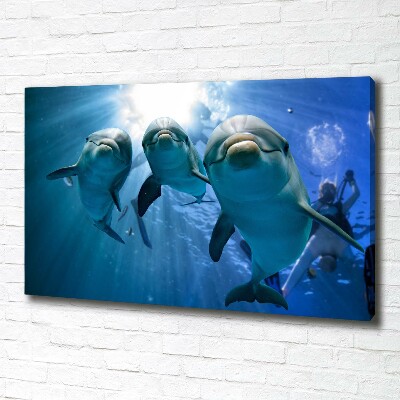 Duży Foto obraz na płótnie Trzy delfiny