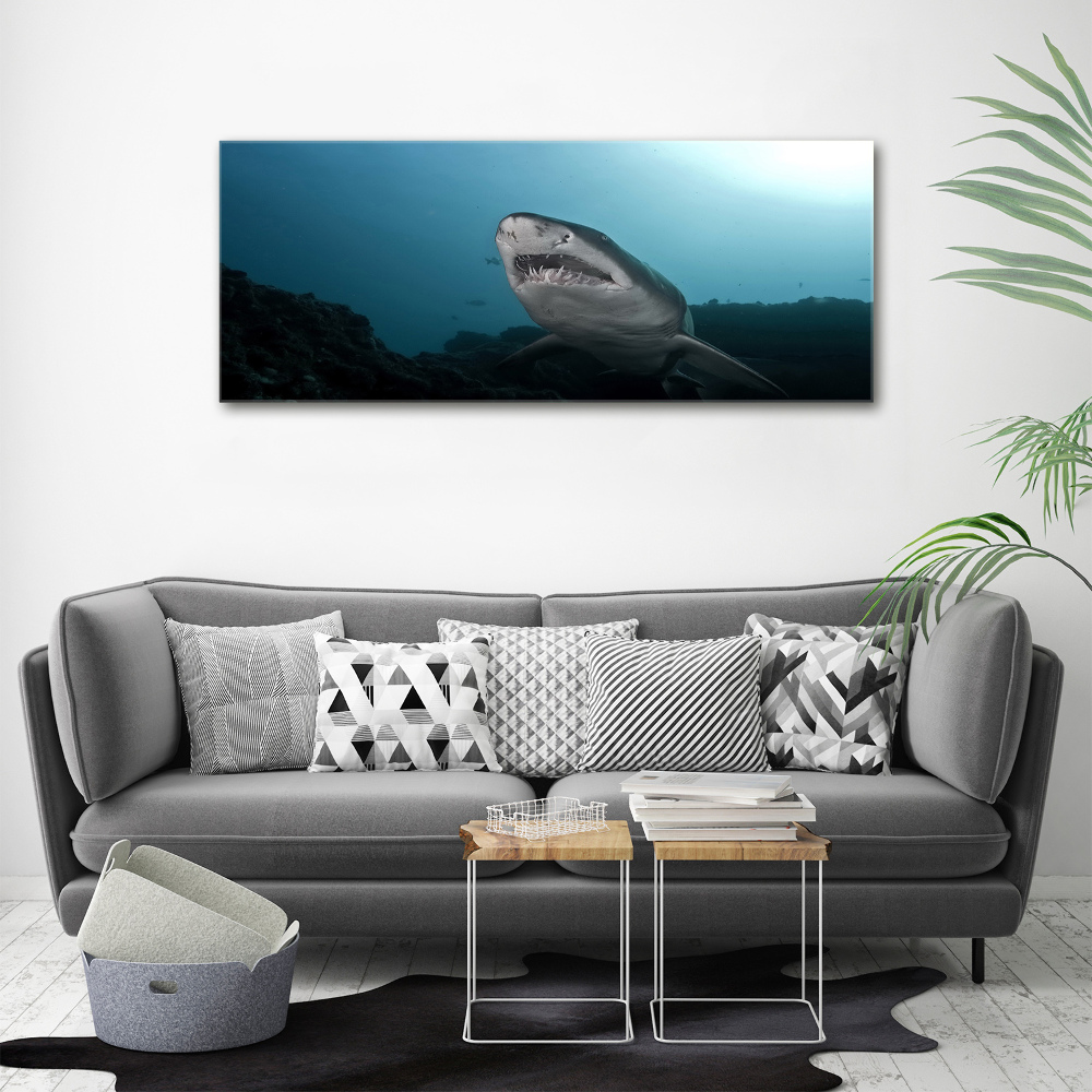 Foto obraz canvas Duży rekin