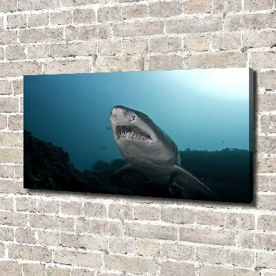 Foto obraz canvas Duży rekin