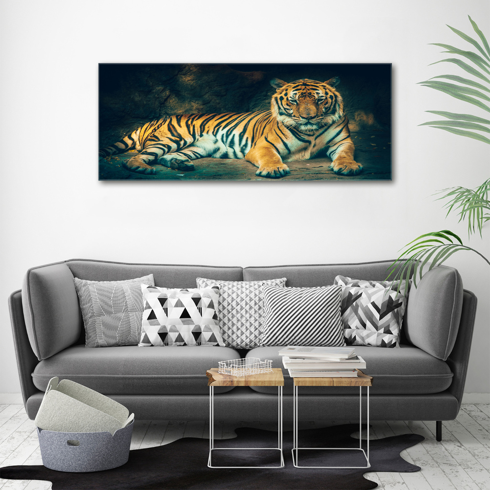 Foto obraz na płótnie Tygrys w jaskini