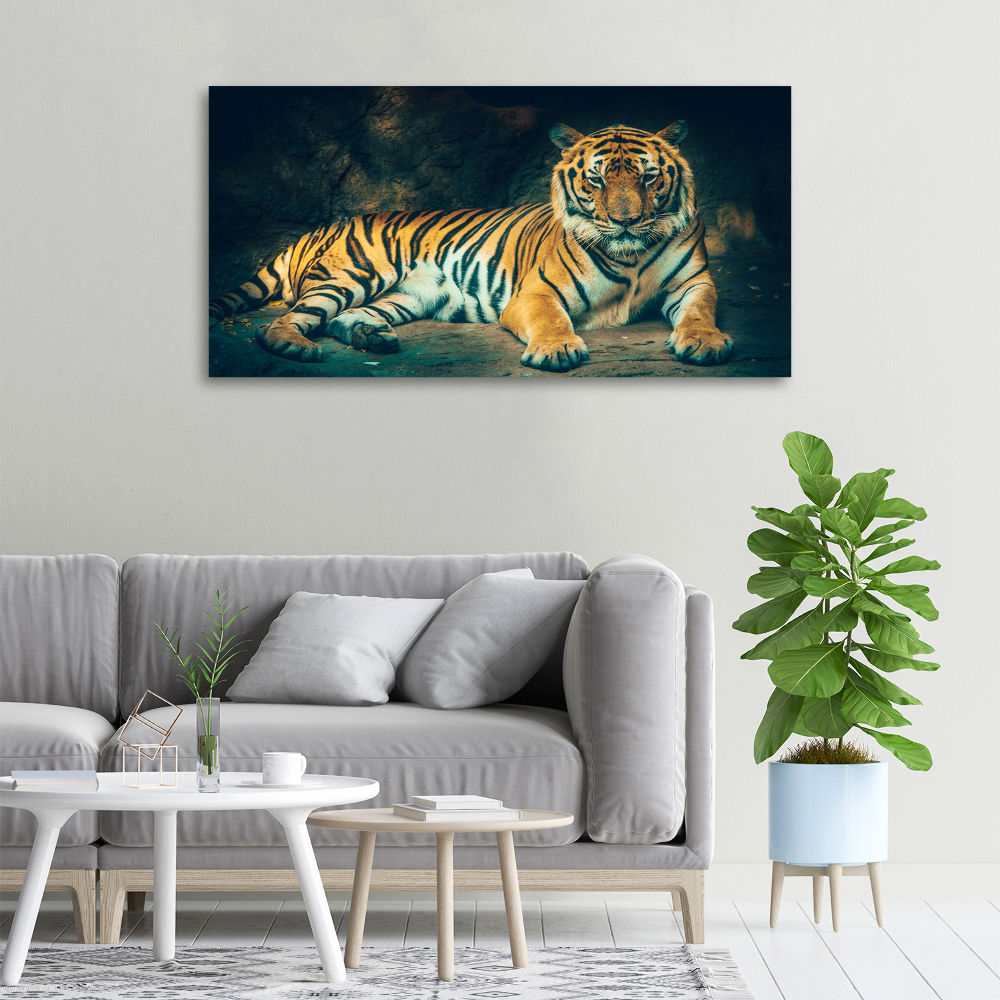 Foto obraz na płótnie Tygrys w jaskini