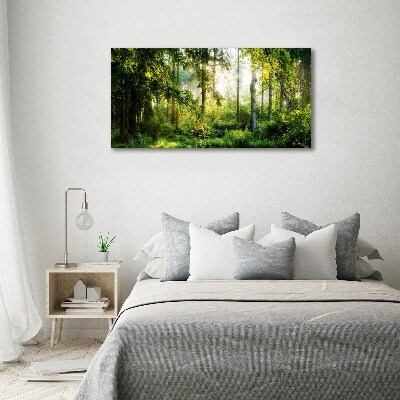 Foto obraz na płótnie Poranne słońce las