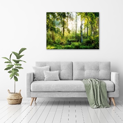 Foto obraz na płótnie Poranne słońce las