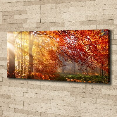 Duży Foto obraz na płótnie Jesienny las