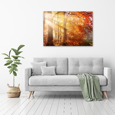 Duży Foto obraz na płótnie Jesienny las