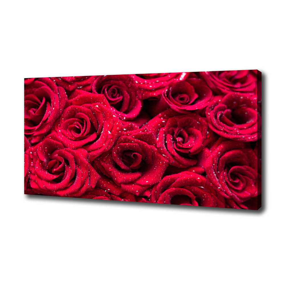 Foto obraz na płótnie Krople na różach