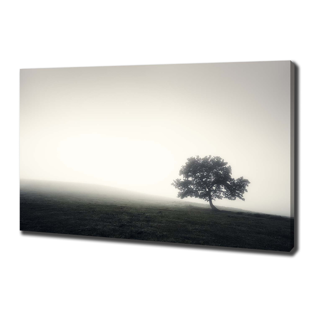 Foto obraz na płótnie Samotne drzewo