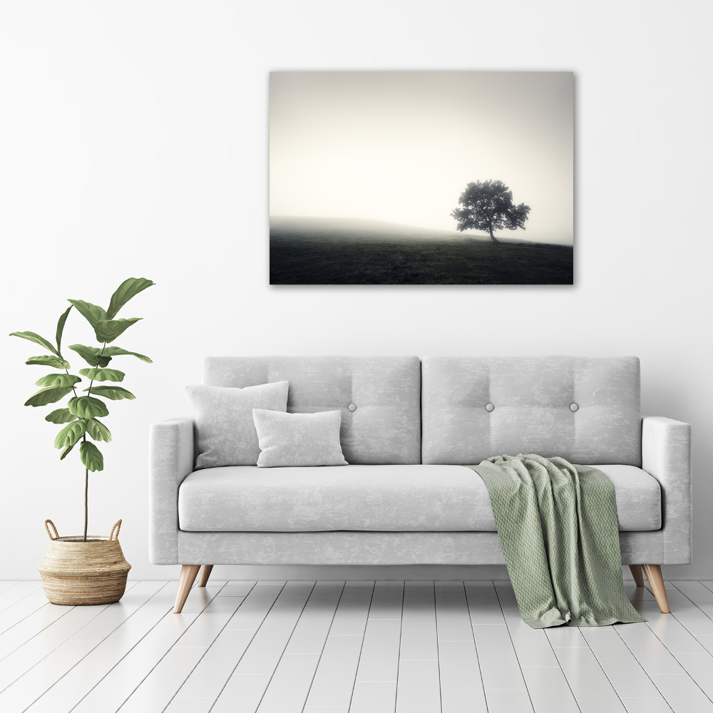 Foto obraz na płótnie Samotne drzewo