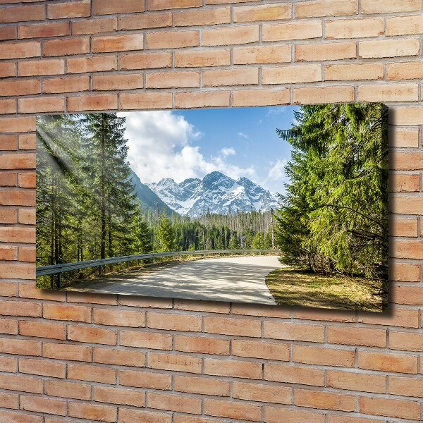 Foto obraz canvas Droga Tatry