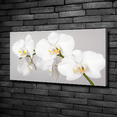 Foto obraz canvas Orchidea