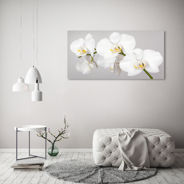 Foto obraz canvas Orchidea