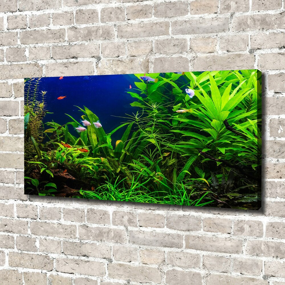 Foto obraz na płótnie Ryby w akwarium