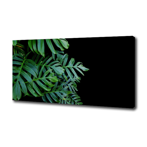 Foto obraz canvas Monstera