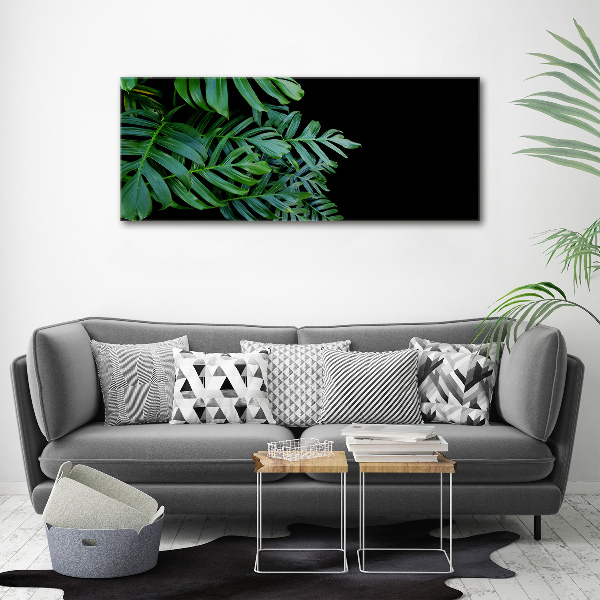 Foto obraz canvas Monstera