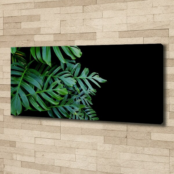 Foto obraz canvas Monstera