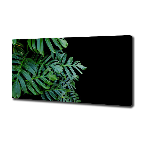 Foto obraz canvas Monstera