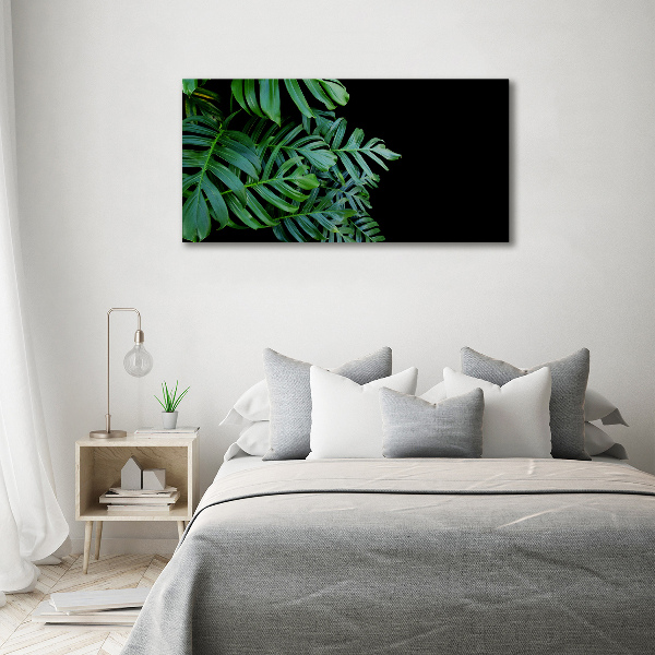 Foto obraz canvas Monstera