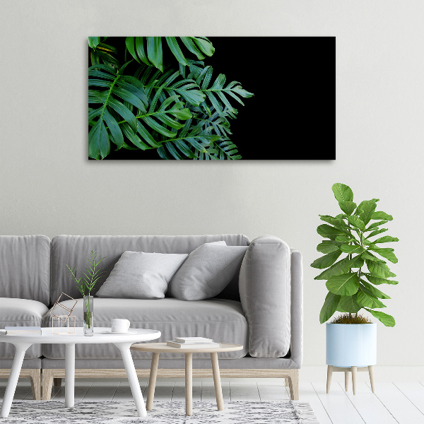 Foto obraz canvas Monstera