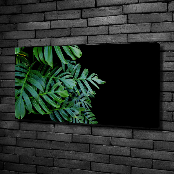 Foto obraz canvas Monstera