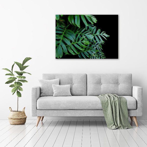 Foto obraz canvas Monstera