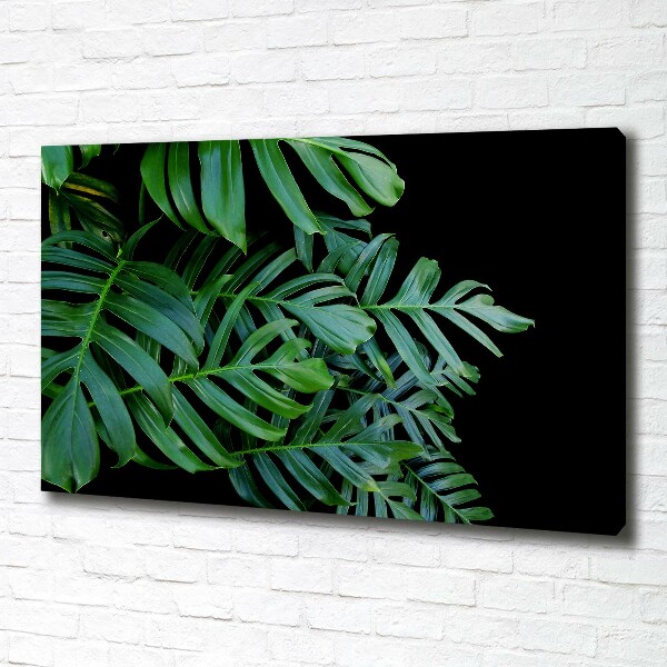 Foto obraz canvas Monstera