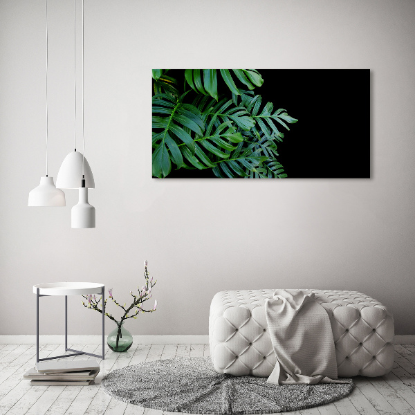 Foto obraz canvas Monstera