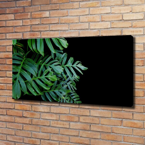 Foto obraz canvas Monstera