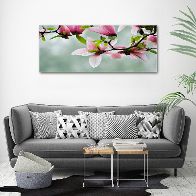 Foto obraz canvas Magnolia