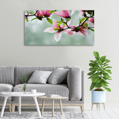 Foto obraz canvas Magnolia