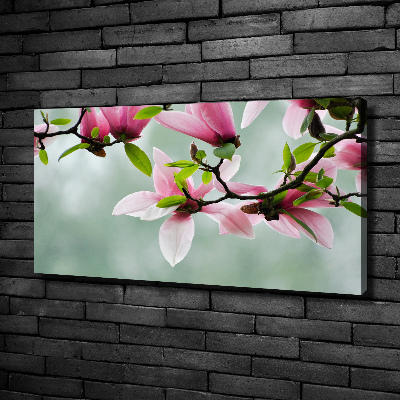 Foto obraz canvas Magnolia