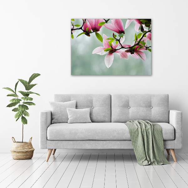 Foto obraz canvas Magnolia