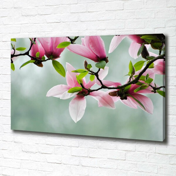 Foto obraz canvas Magnolia