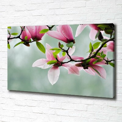 Foto obraz canvas Magnolia